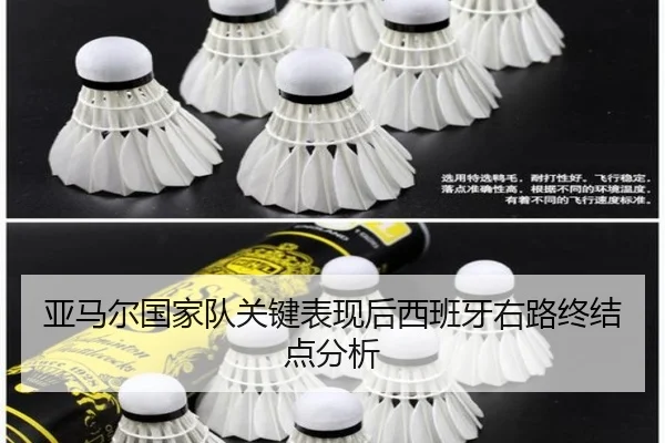 ya-ma-er-guo-jia-dui-guan-jian-biao-xian-hou-xi-ban-ya-you-lu-zhong-jie-dian-fen-xi-2-933.jpg